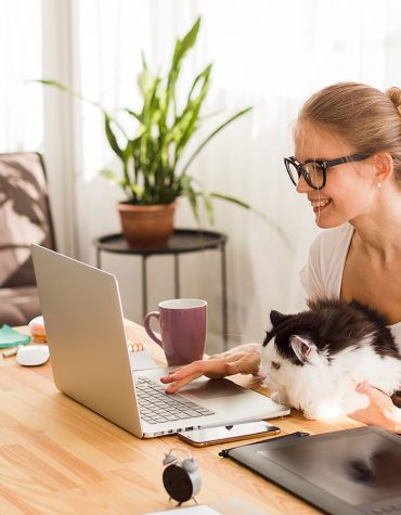Dos documentos ao notebook: 3 pastas para acompanhar você no trabalho